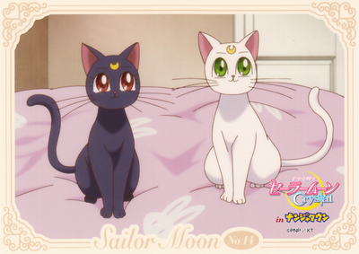 sailor-moon-crystal-namjatown-bromide-14.jpg