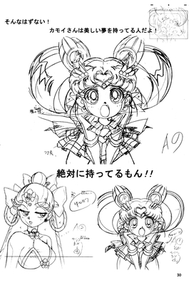 Super Sailor Chibi Moon
Lunatic Soldier
Hyper Graphicers - 1998
