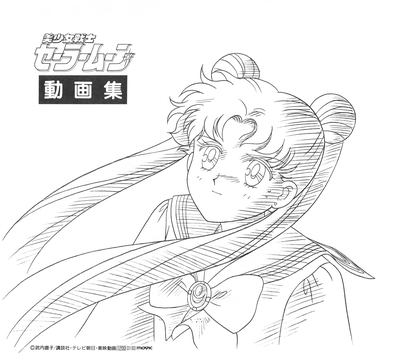 Tsukino Usagi
Sailor Moon
Douga Book
By MOVIC
