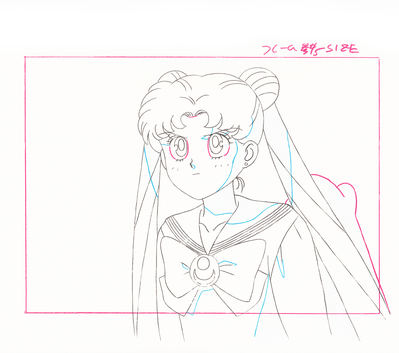 Tsukino Usagi
Sailor Moon
Douga Book
By MOVIC
