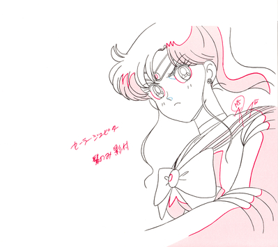 Sailor Jupiter
Sailor Moon
Douga Book
By MOVIC
