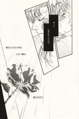 Tsukino Usagi & Seiya Kou
-Secret Memory- Moment
by Fragrant Olive
