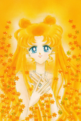 sailor-moon-exhibition-postcard-11.jpg