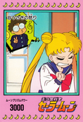 sailor-moon-pp1-08.jpg