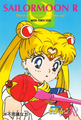 Sailor Moon
No. 249
